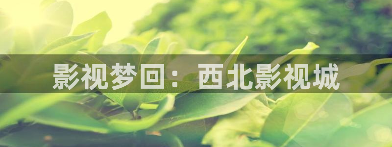 六安紅葉影城電影：影視夢(mèng)回：西北影視城